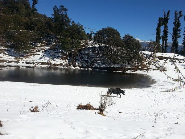 बाटोमा पर्ने क्याङसे पोखरी