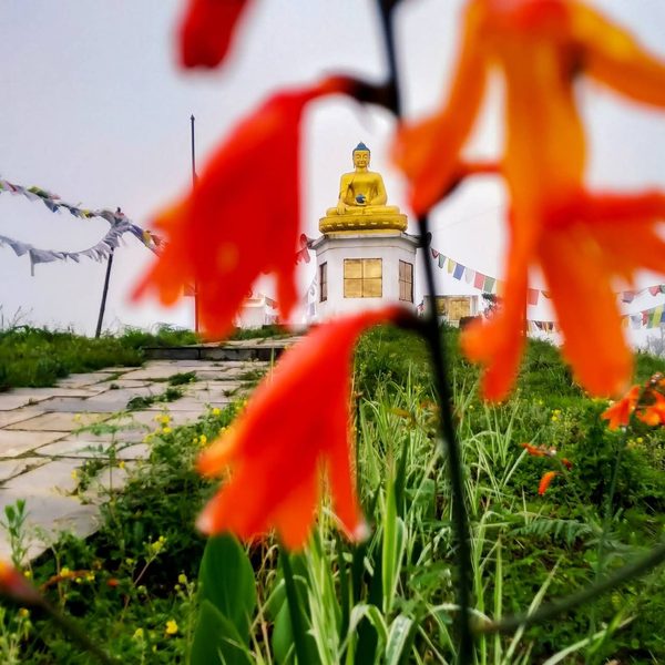 पदयात्राको सुरुवात बिन्दु — बुद्ध पार्क