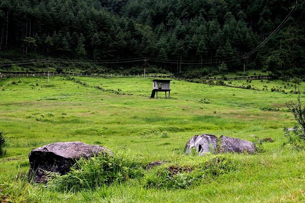 जिरीको हरियाली फाँट